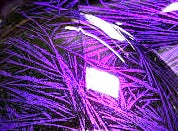 Crystal effect granules crystals Urea custom paint additive .
